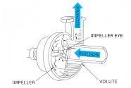 Centrifugal पम्प पम्प चयन गाईड